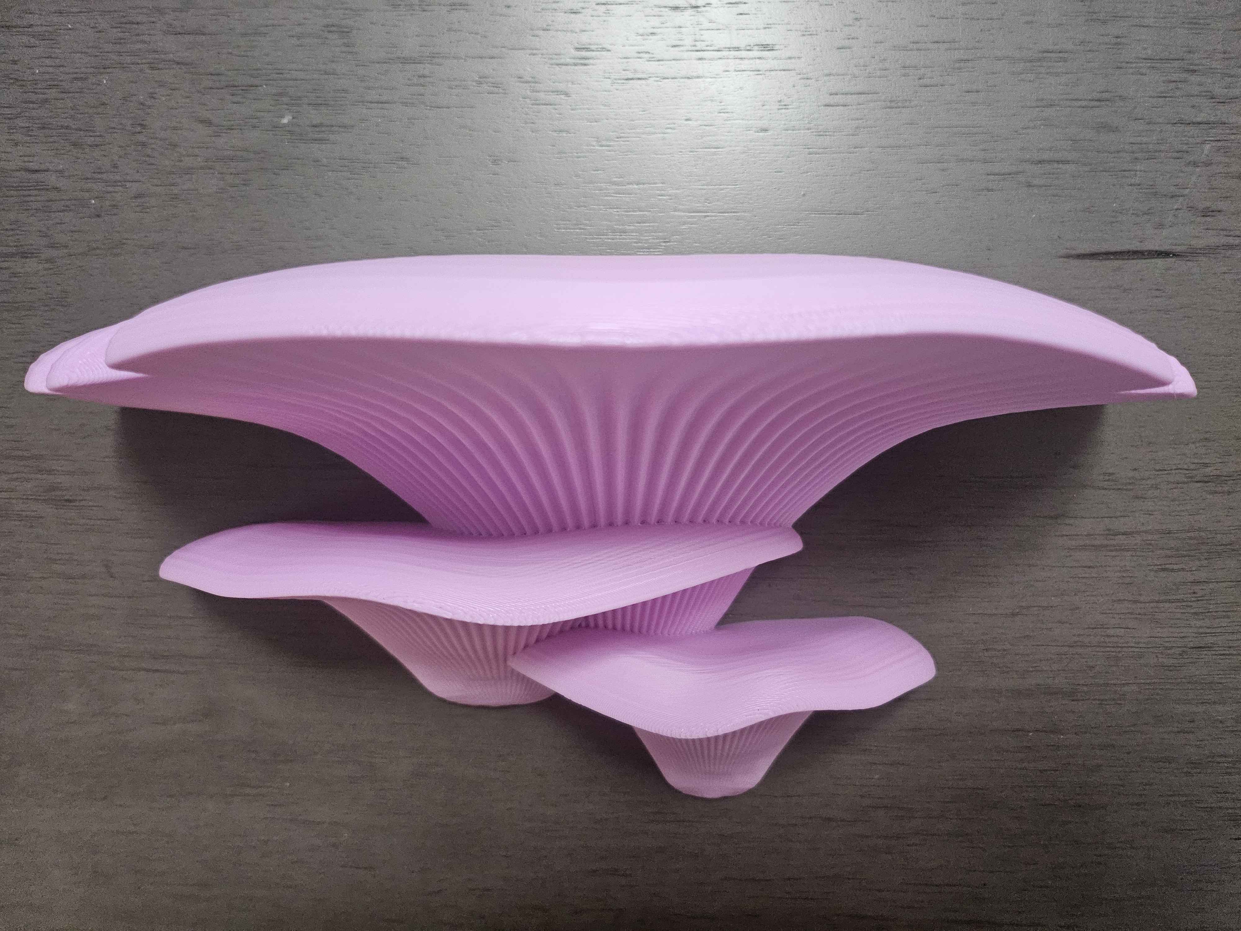 Image of Mushroom shelves