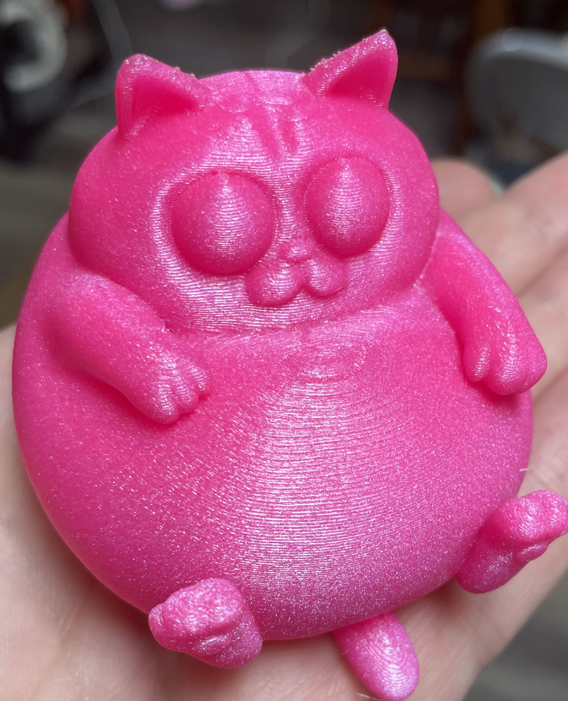 Image of Chill Chonky Cat