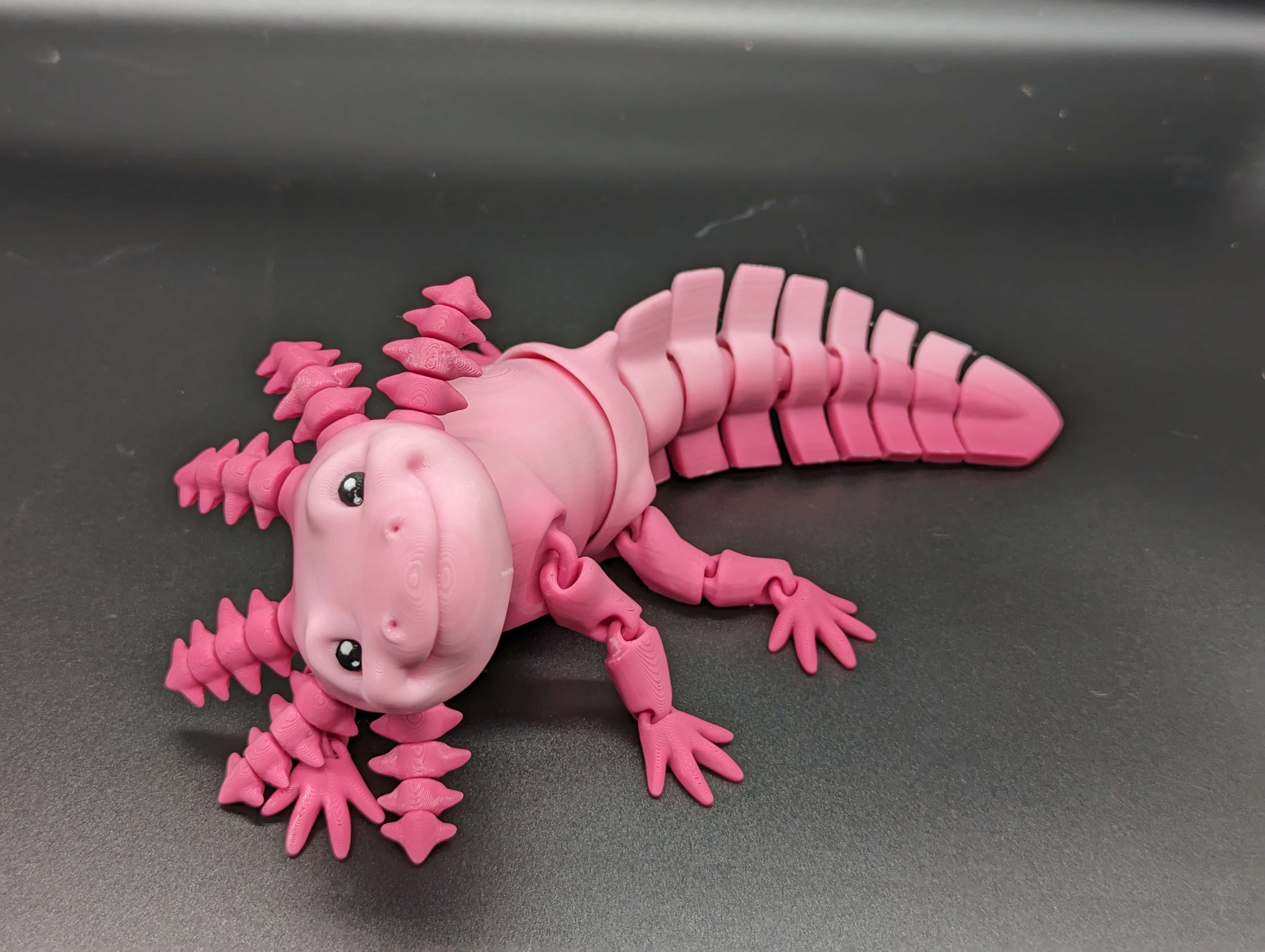 Image of Axolotl