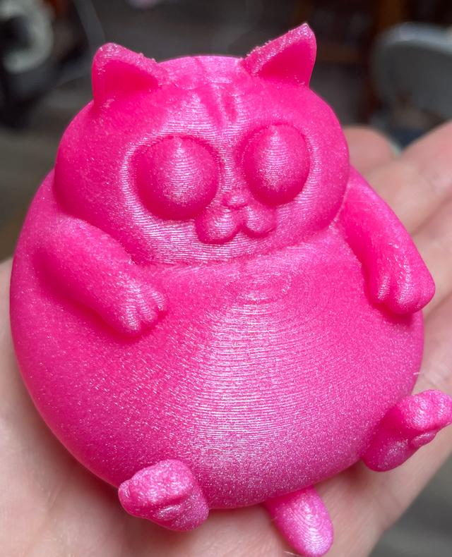 Chill Chonky Cat