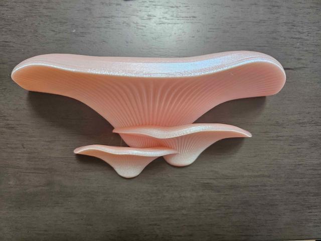 Mushroom shelves