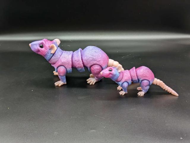 Rat